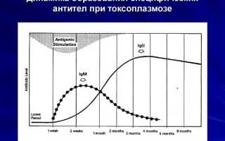 Токсоплазмоз при беременности