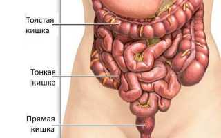 Травмы тонкой кишки — чем опасно перенесенное заболевание