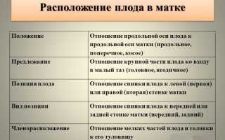 Поперечное положение плода: тактика и помощь беременной