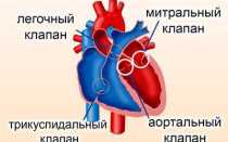 Уплотнение фиброзного кольца и створок митрального клапана
