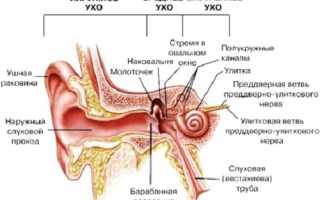 Кровотечение из ушей